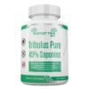 Tribulus Pure - Testosterone Booster