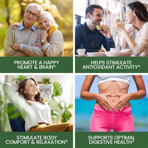 Cinnamon Capsules 1200mg, Made With Organic Ceylon